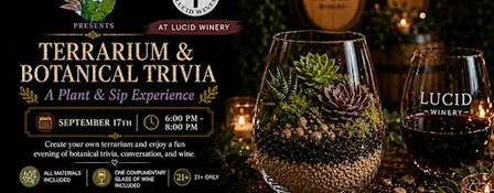 Plant & Sip Experience | Sacramento Night Out