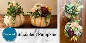 Patchwork Presents Succulent Pumpkins Craft Workshop