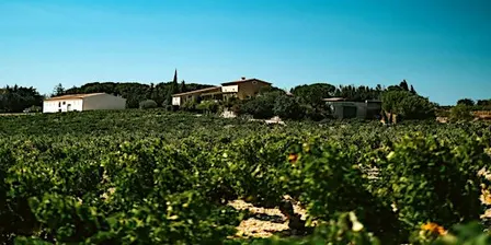Les Domaines du Mont Tasting with Romaine Sève