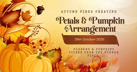 Petals & Pumpkins