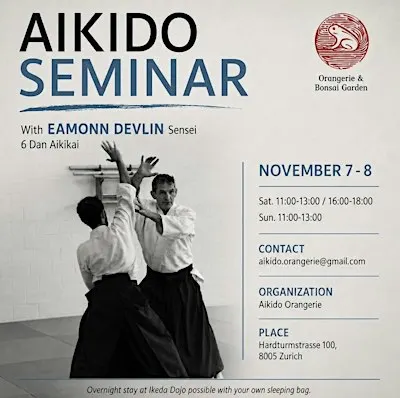 Aikido Seminar with Eamonn Devlin Sensei, 6th Dan Aikikai | Zürich
