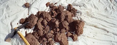 Mud Club Harvest - Three Week Course