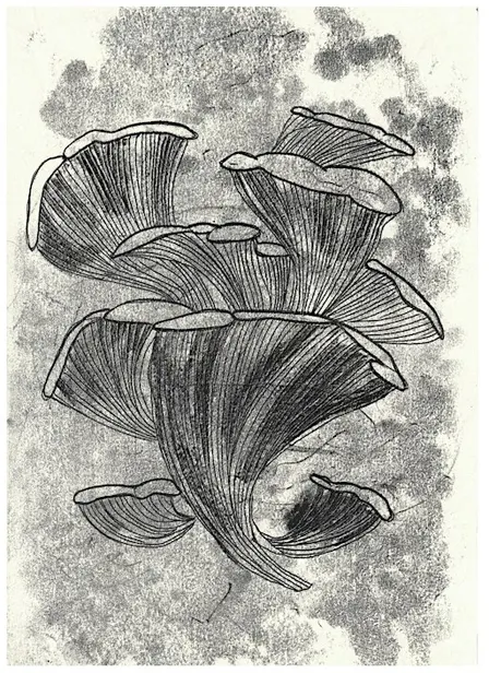 Mushroom Monoprints