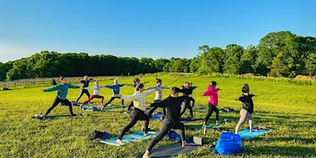 Yoga in the Vineyard