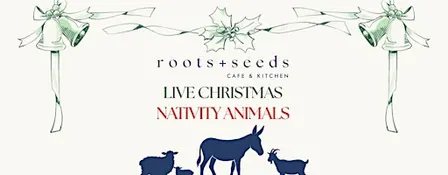 Live Christmas Natvity Animals at Roots + Seeds Cirencester Park