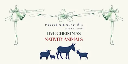 Live Christmas Natvity Animals at Roots + Seeds Cirencester Park