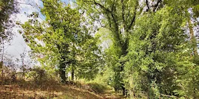 Guided Walk: Wessington Wood & Pasture and Pear Tree Walk