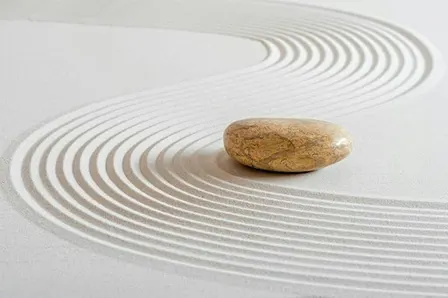 Meditation Workshop