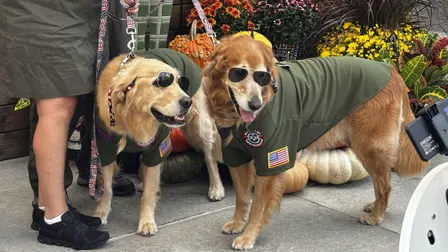 Barktober Costume Contest