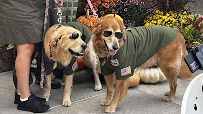 Barktober Costume Contest