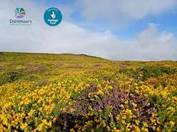 MOR1 a new App - Moorland vegetation practical identification workshop
