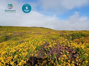 MOR1 a new App - Moorland vegetation practical identification workshop