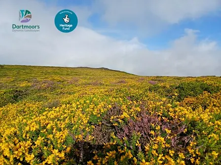 MOR1 a new App - Moorland vegetation practical identification workshop