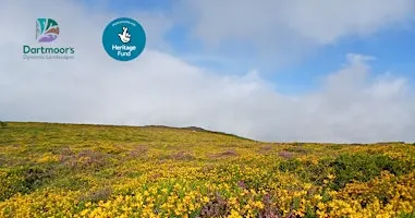 MOR1 a new App - Moorland vegetation practical identification workshop