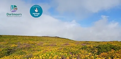 MOR1 a new App - Moorland vegetation practical identification workshop