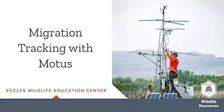Wildlife Seminar: Migration Tracking with Motus
