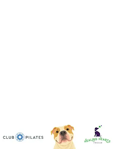 Puppies, Pints, and Pilates at The Howe