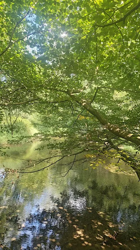 LA MEMORIA DELL'ACQUA