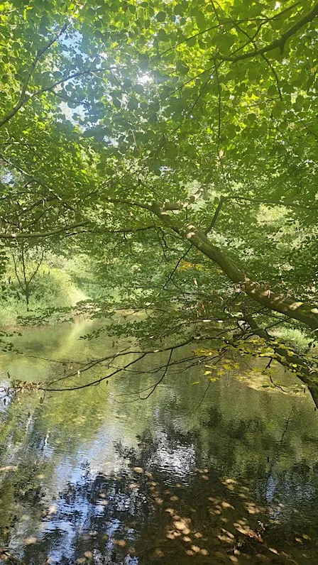 LA MEMORIA DELL'ACQUA