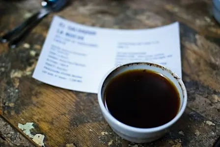Ozone Coffee Cupping Experience