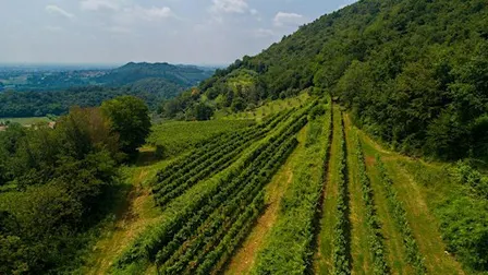 Il paesaggio è un progetto culturale