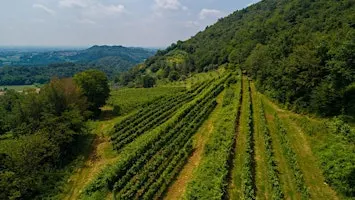 Il paesaggio è un progetto culturale