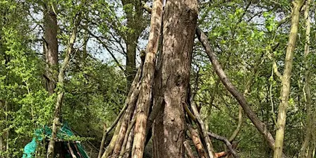 Fingringhoe: welcome to the stone age