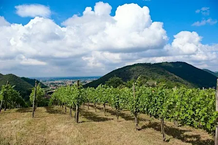 Paesaggio e futuro della Franciacorta