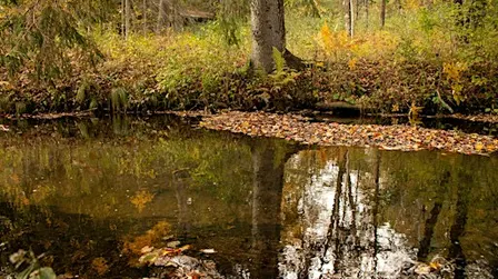 Autumn Discovery Hike