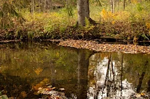 Autumn Discovery Hike