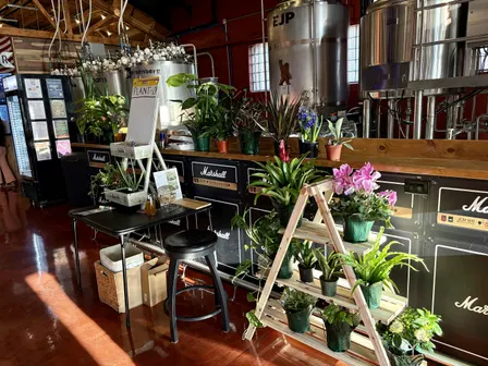 Plant Bingo with Village Flower Shop at Garage Band Brewing