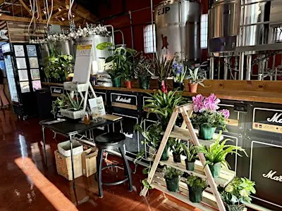 Plant Bingo with Village Flower Shop at Garage Band Brewing