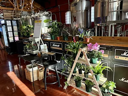 Plant Bingo with Village Flower Shop at Garage Band Brewing