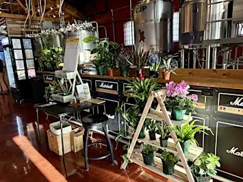 Plant Bingo with Village Flower Shop at Garage Band Brewing