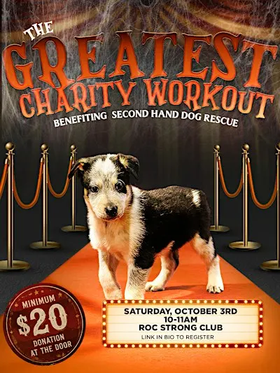 The Greatest Charity Workout: Halloween & Puppies Edition