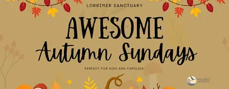 Awesome Autumn Sundays