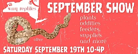 WNY Reptiles September Show 2026