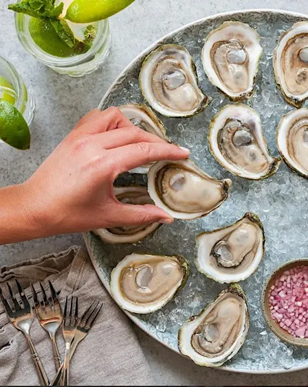 The Oyster Café - Sunny Oyster Social at Tait House Garden