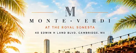 Bolly Sundown on the Charles: Sunsets, Beats, & Skyline Views