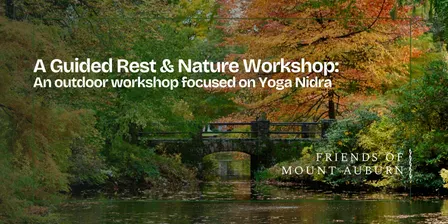 Guided Rest and Nature Walk Experience