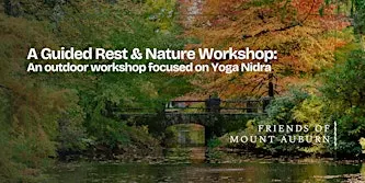 Guided Rest and Nature Walk Experience