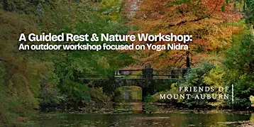Guided Rest and Nature Walk Experience