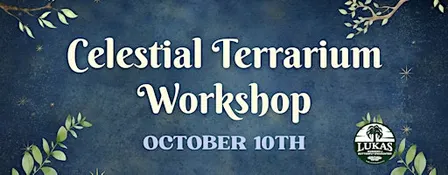 Celestial Terrarium Workshop by Lukas Nursery