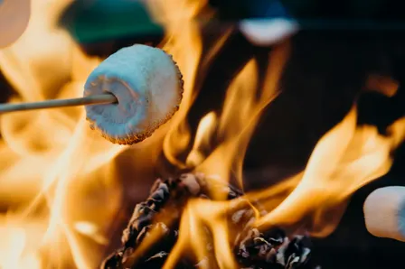 Kelowna Artisan Farm: Smokies & Fire-Roasted S'mores