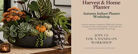 Harvest & Home Indoor Planter