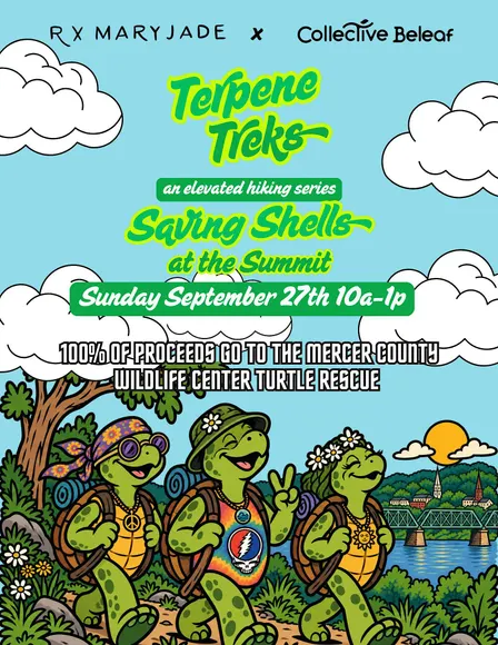 Terpene Treks: Saving Shells at the Summit