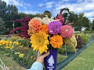 Outdoor Yoga + You-Pick Flowers!