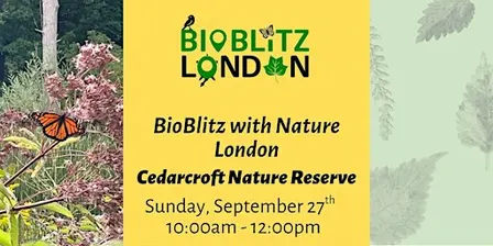BioBlitz Cedarcroft Nature Reserve