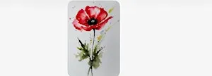 Beginners Watercolour Workshop: Paint a Poppy  11th Oct