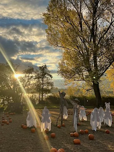 IL CAMPO DI ZUCCHE YOU-PICK A GALBIATE HALLOWEEN IN RIVA AL LAGO